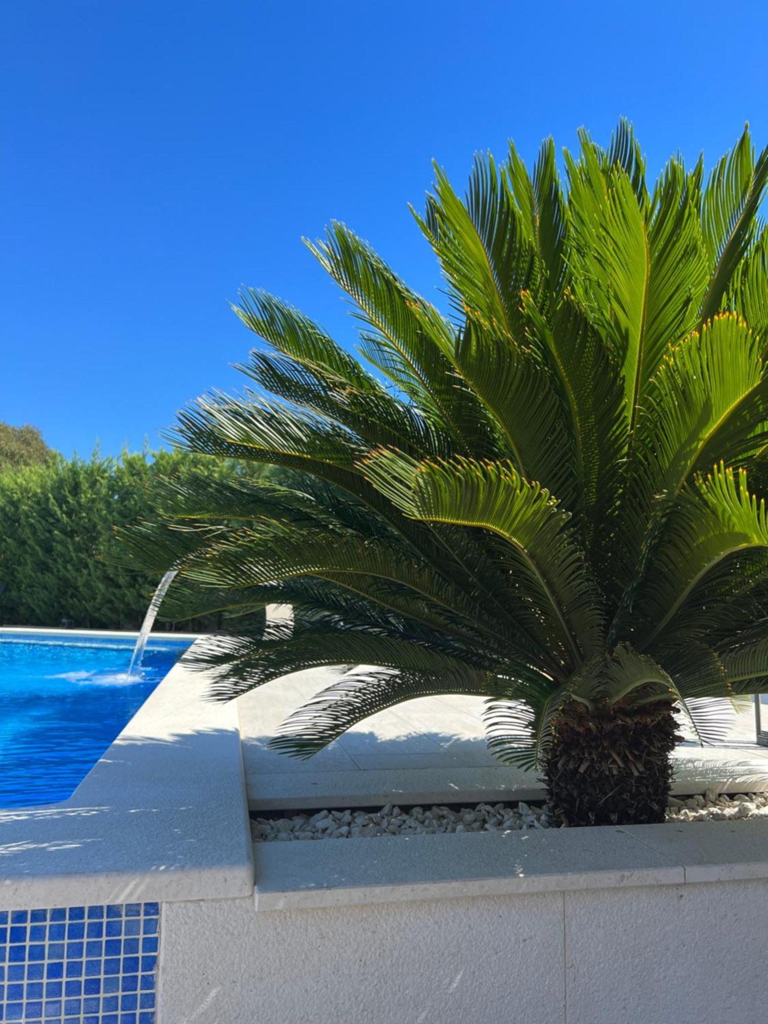 Holiday Luxury Resort Sundance Traù Esterno foto